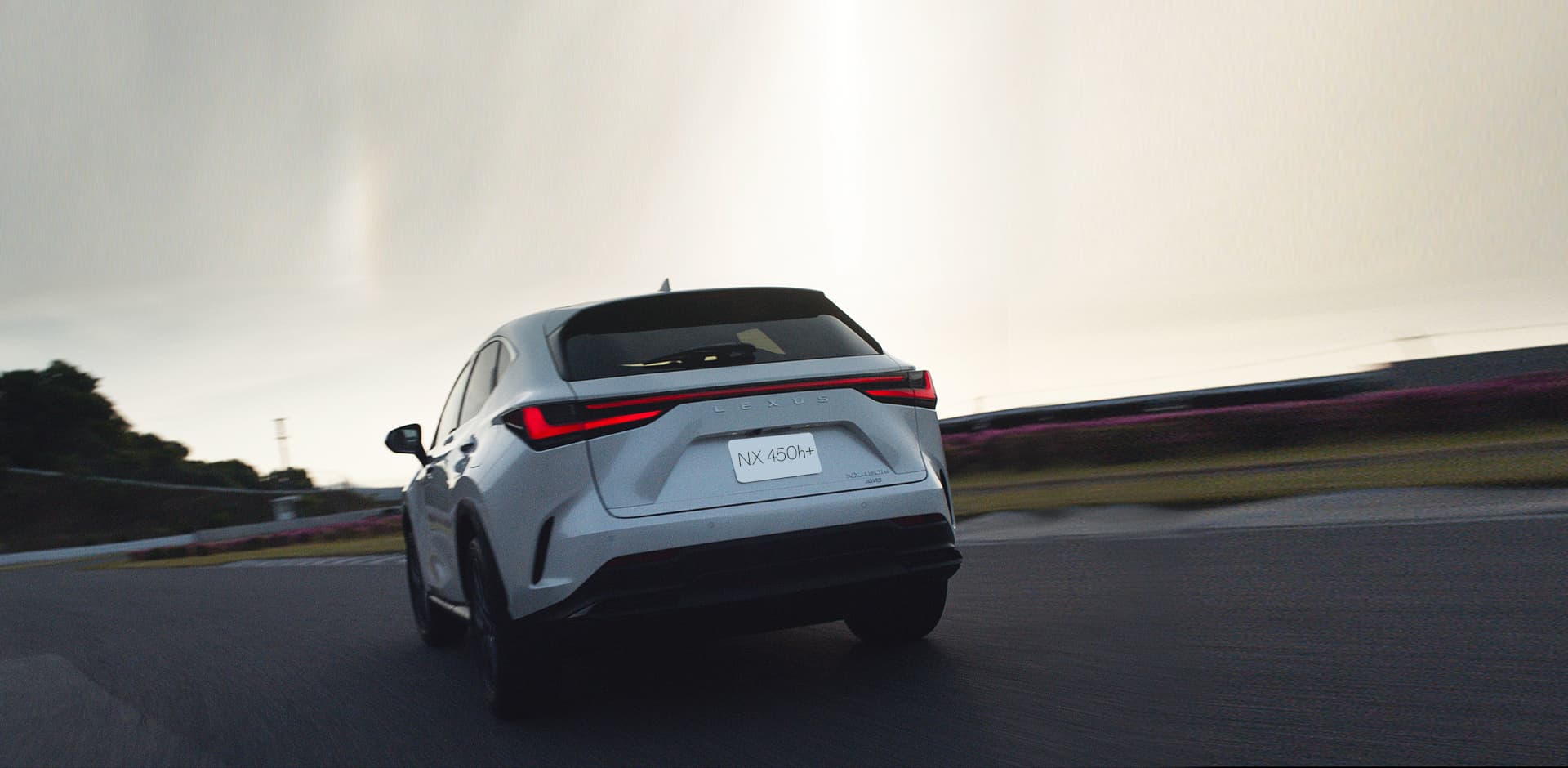 Lexus Nx 450h+ Section Divider 2 D - lexus